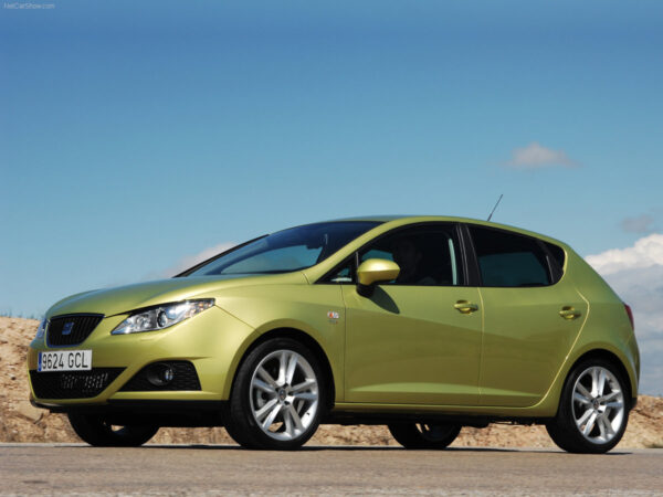 Seat Ibiza (2010) – Sicherungskasten