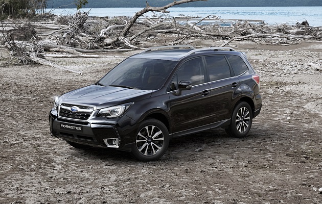 Subaru Forester (2017-2018) – Sicherungskasten