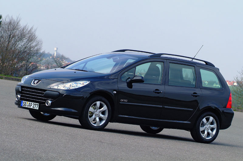 Peugeot 307 Break (2005-2008) – Sicherungskasten