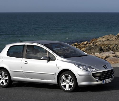 Peugeot 307 (2001-2004) – Sicherungskasten