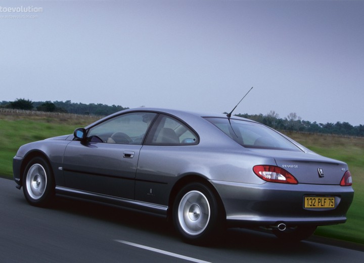 Peugeot 406 C (2002-2004) – Sicherungskasten